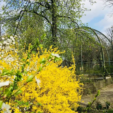 Апартаменти Piper Zajezdnia White *