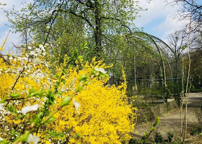 Appartamento Piper Zajezdnia White *